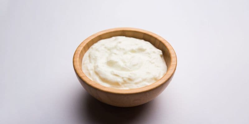 Curd - Carnatic Cafe